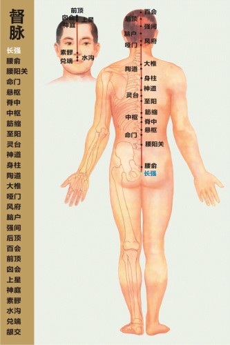 督脈經(jīng)絡(luò)圖