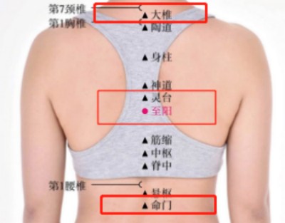 督脈上的相關(guān)穴位