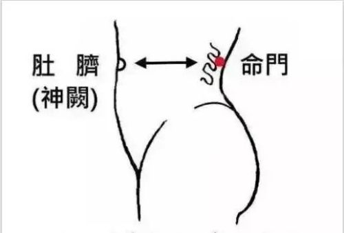 命門穴位置