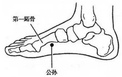 公孫穴位置