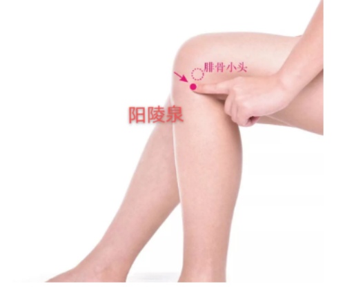 陽陵泉穴位置
