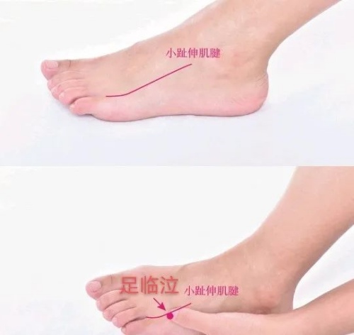 足臨泣穴位置