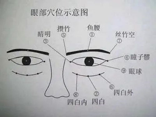 眼部穴位示意圖
