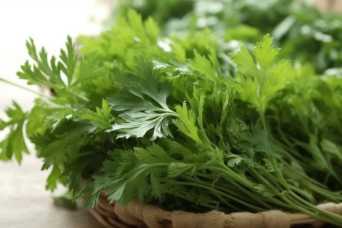 艾草